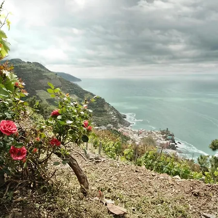 Casa Contra 斯培西亚